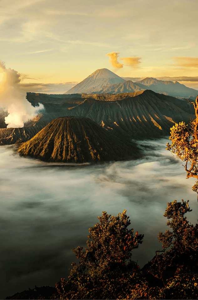 trueindonesia