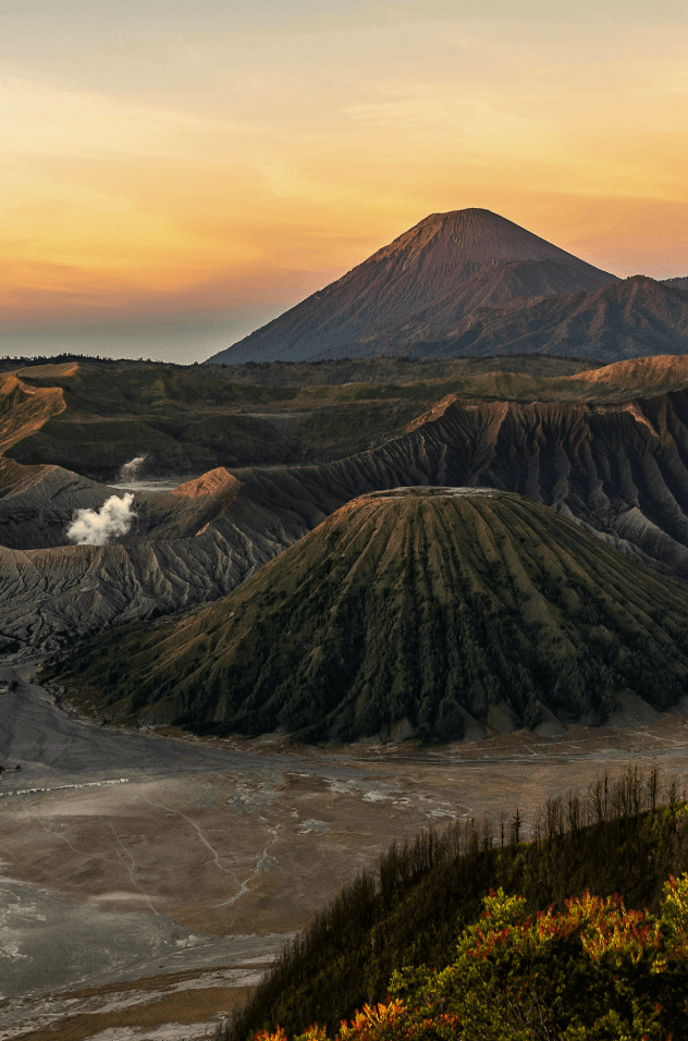 trueindonesia