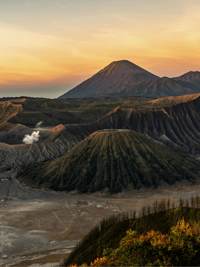 trueindonesia
