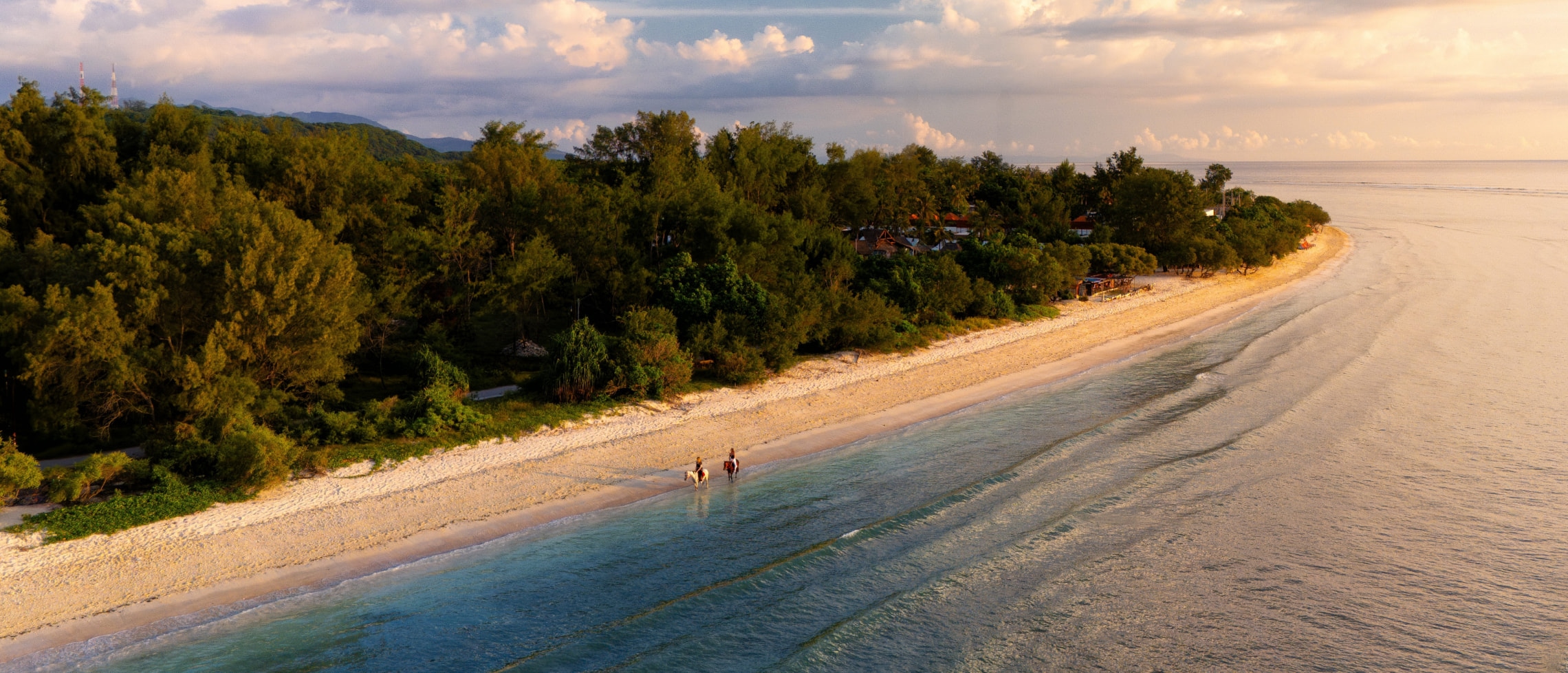 Two horses walking along a beach on the Lombok coastline
